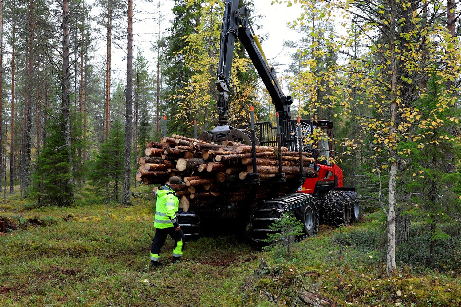 Jari Laine punaisen puita täynnä olevan harvesterin takana kävelemässä.