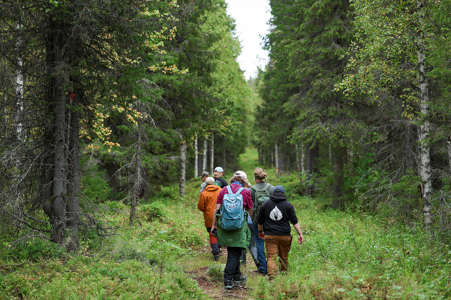 Erä- ja luonto-opasopiskelijoita kävelemässä metsäpolulla maasto-opetuksen aikana.