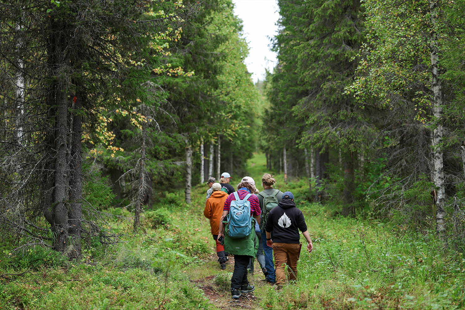 Erä- ja luonto-opasopiskelijoita kävelemässä metsäpolulla maasto-opetuksen aikana.